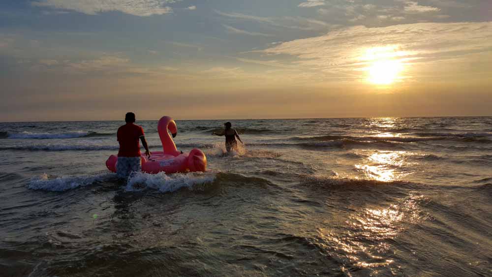 Dutch coast - Swiming on the floated flamingo - Discover True Netherlands - cover image