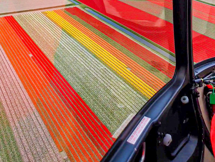 Tulip Fields from helicopter -27 Discover True Netherlands - 4x3